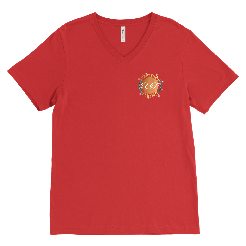 V Neck Tee - Everything Perfect